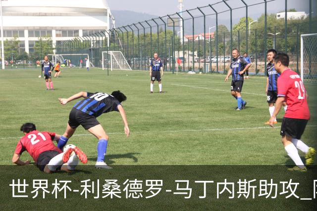 世界杯-利桑德罗-马丁内斯助攻 阿根廷半场暂1-0佛得角