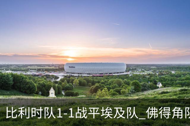 比利时队1-1战平埃及队 佛得角队爆冷逼平西班牙队