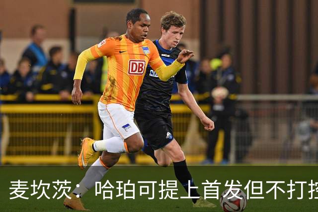 麦坎茨：哈珀可提上首发但不打控卫 建议马刺留福克斯打五小